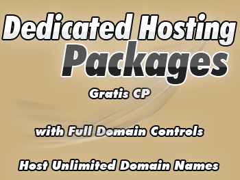 Half-price dedicated server services